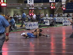 Cammisa goes for Greco Fall
